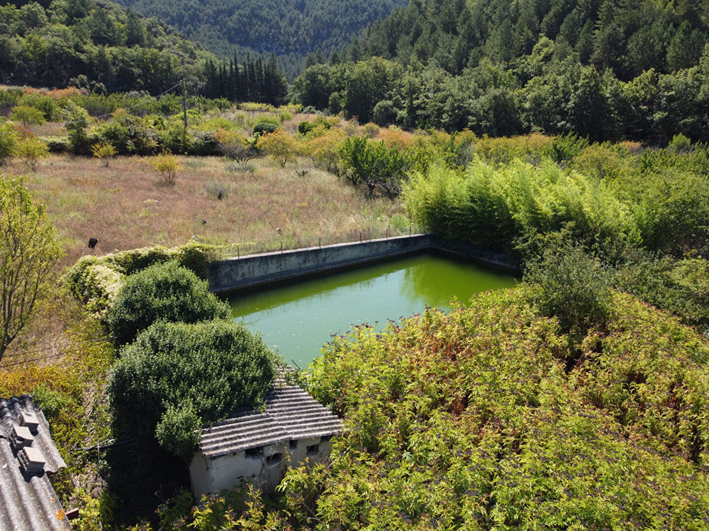 Photo Ferme agricole sur 25 hectares image 4/6