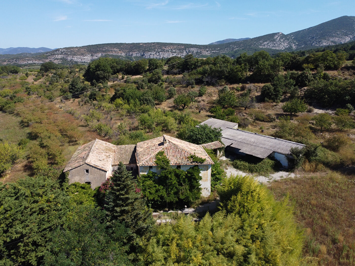 Photo Ferme agricole sur 25 hectares image 5/6