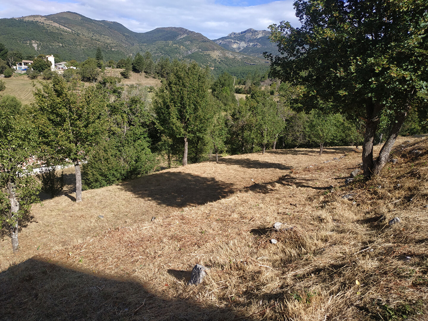 Photo TERRAIN A BATIR CASTELLANE env. 2126 m2 image 2/6
