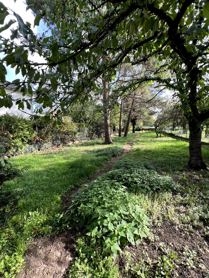 Photo Belle et spacieuse maison de 160m2 avec son grand terrain arboré de 837m² image 3/6