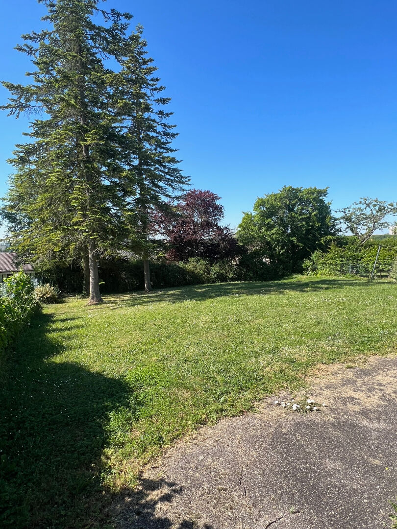 Photo Belle maison dans les hauteurs de Metz avec grand jardin image 6/6