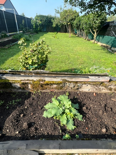 Photo Maison mitoyenne de 170m² avec garage et jardin de 5.97 ares image 2/6