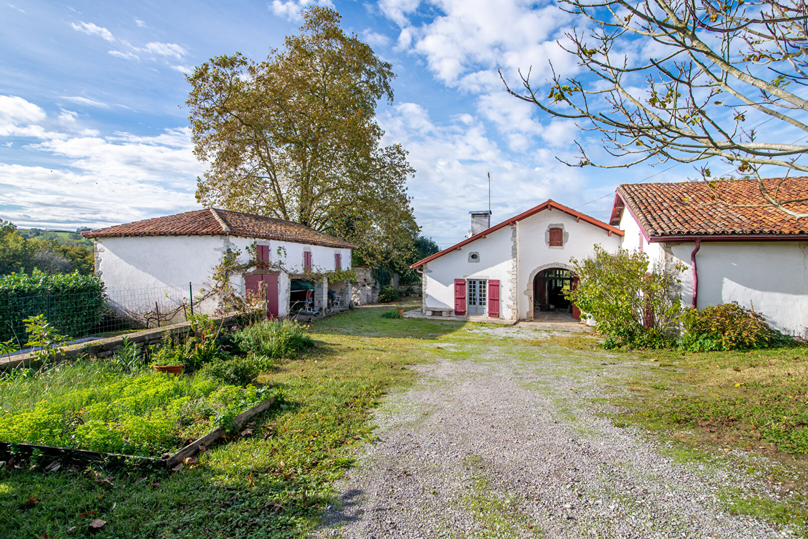 Photo CAME - BIDACHE - AUTHENTIQUE FERME A RENOVER image 3/6