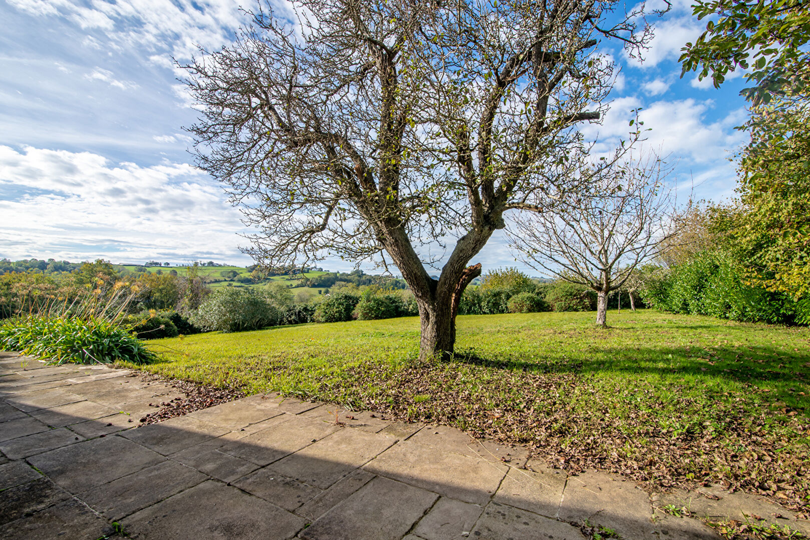 Photo CAME - BIDACHE - AUTHENTIQUE FERME A RENOVER image 6/6