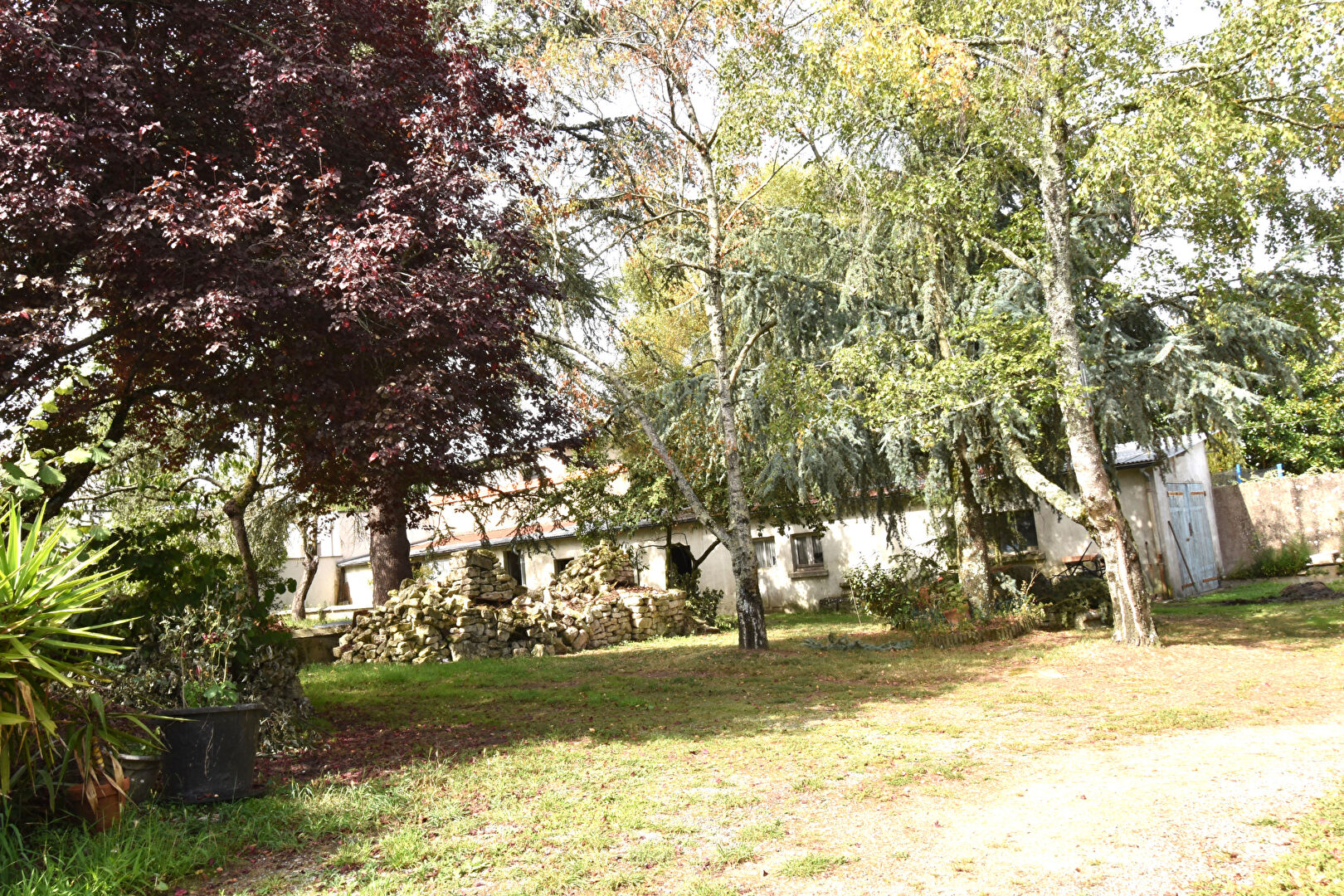 Photo Maison Reze 7 pièce(s) 176 m2 image 3/6