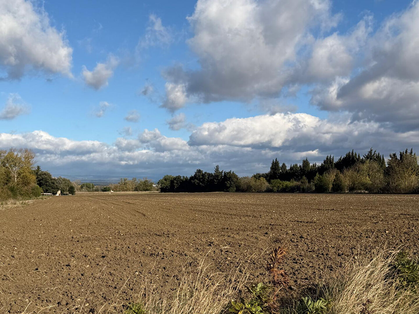 REF - TERRE - BRAM - Terrain 7970m²