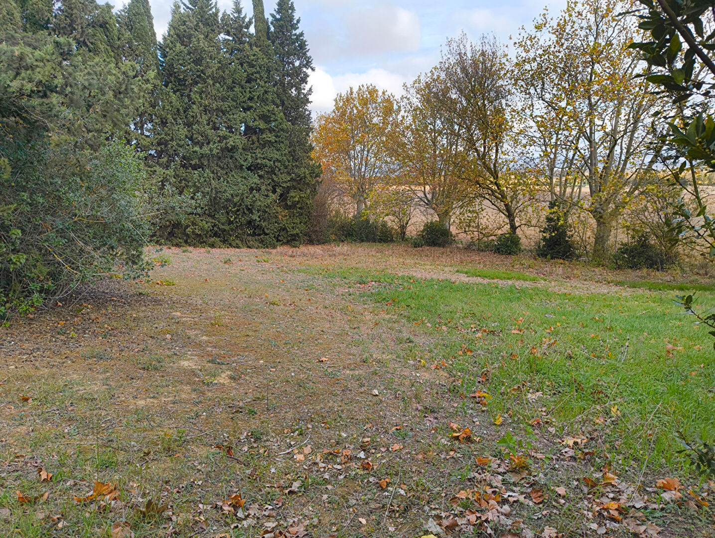 Agence immobilière de Voila immobilier
