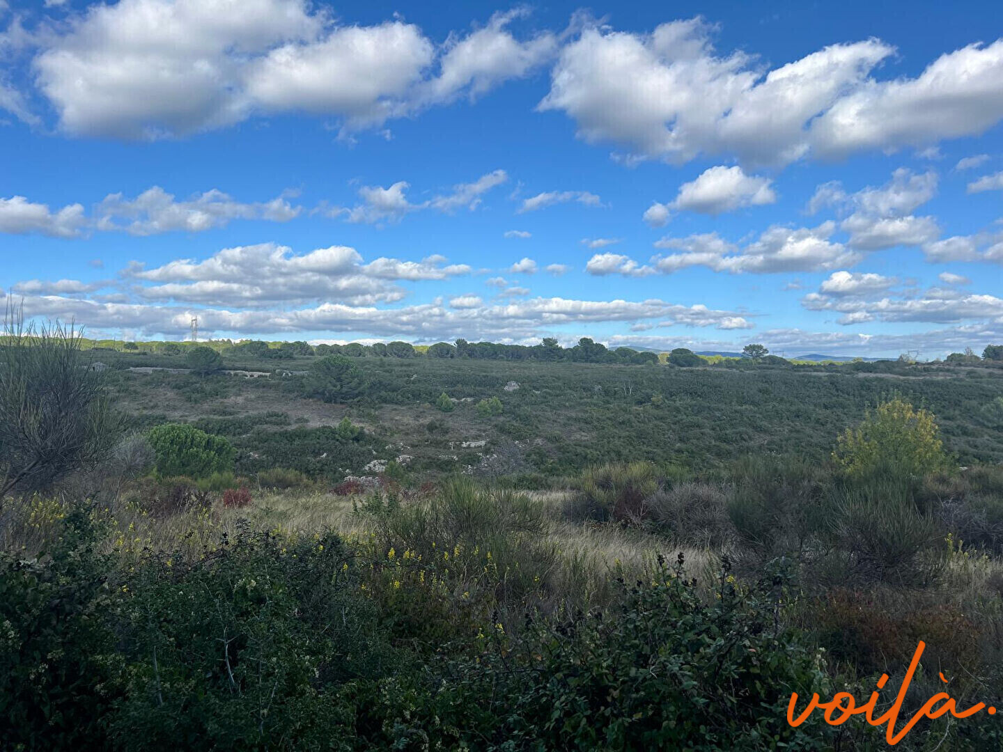 Agence immobilière de Voila immobilier