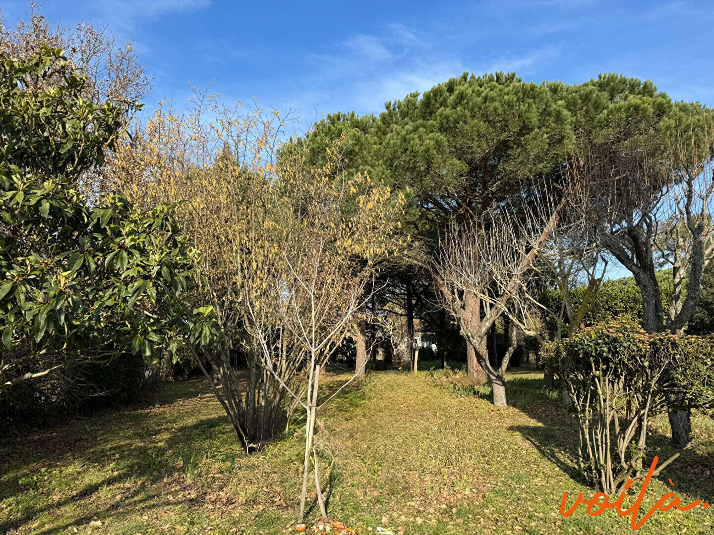 Agence immobilière de Voila immobilier