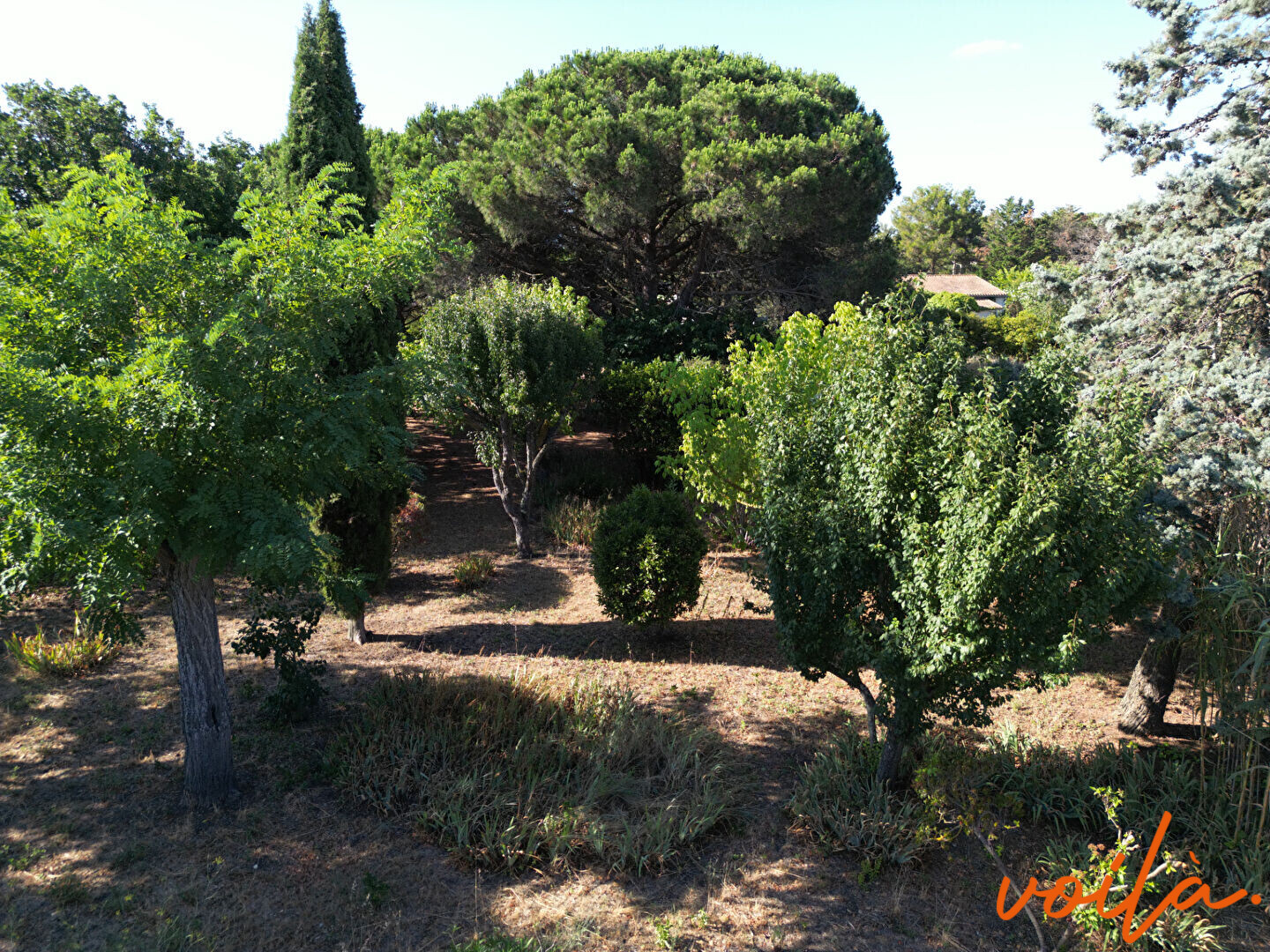 Agence immobilière de Voila immobilier