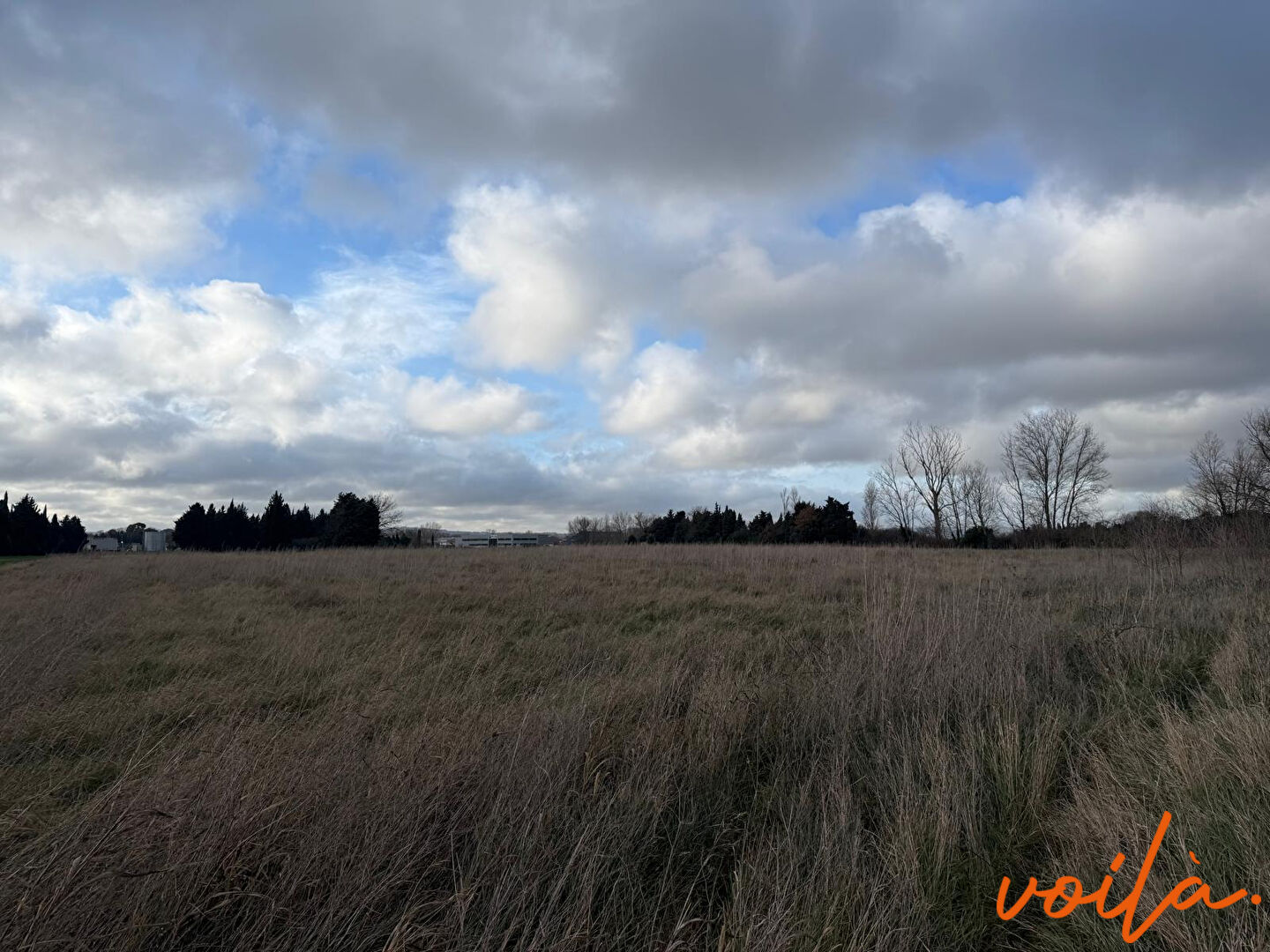 REF - TERRE - BRAM - Terrain 7970m²