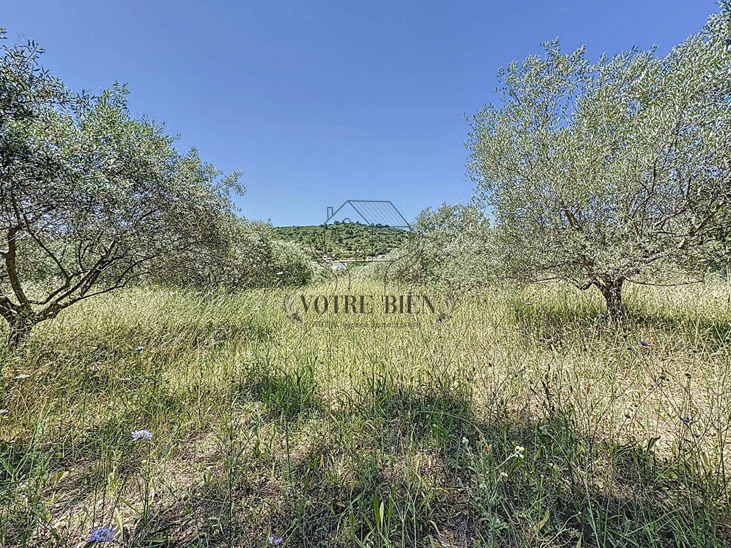 Photo Terrain Villeneuve 2681 m2 image 2/5