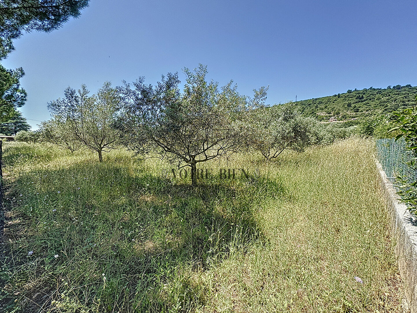 Photo Terrain Villeneuve 2681 m2 image 3/5