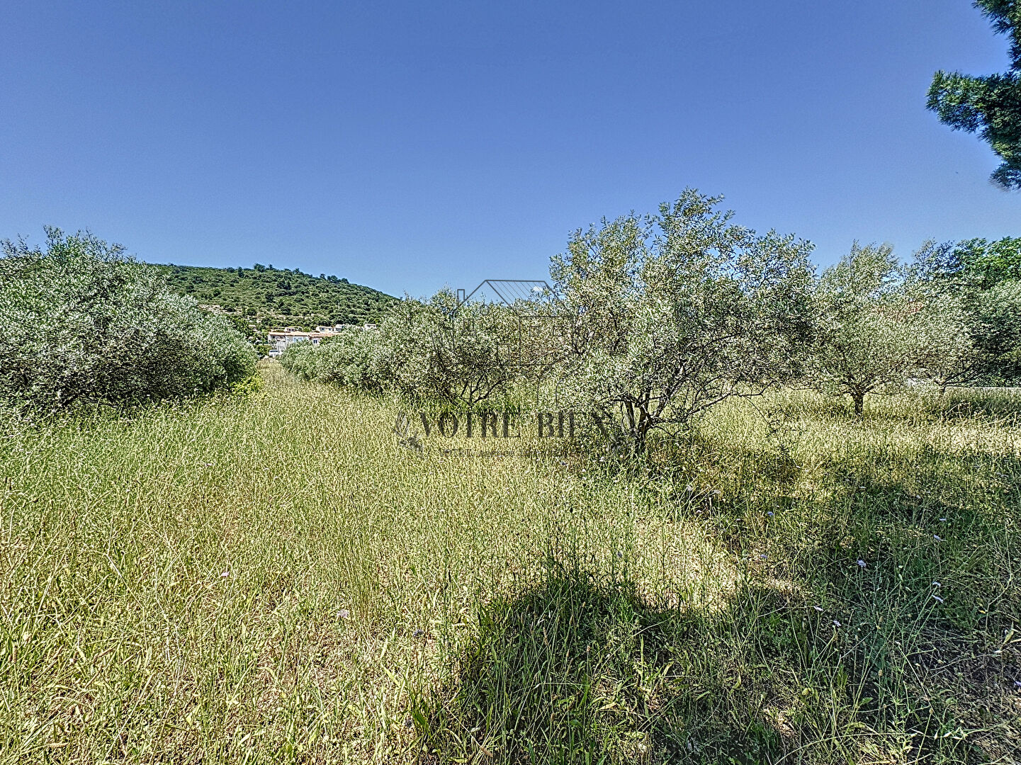 Photo Terrain Villeneuve 2681 m2 image 4/5