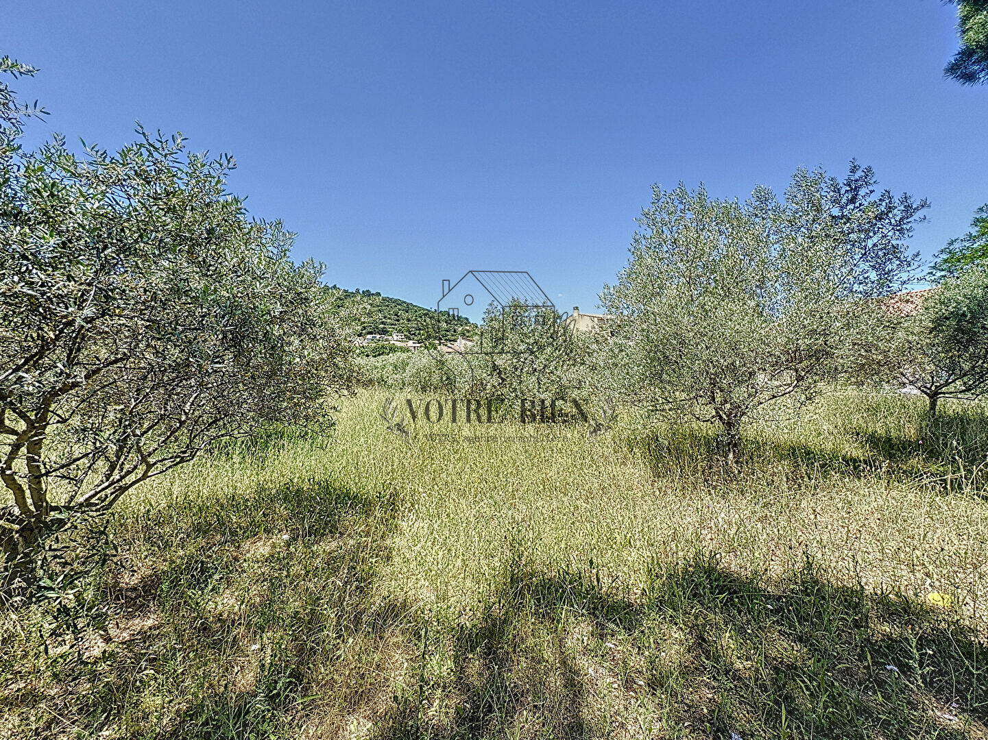 Photo Terrain Villeneuve 2681 m2 image 5/5