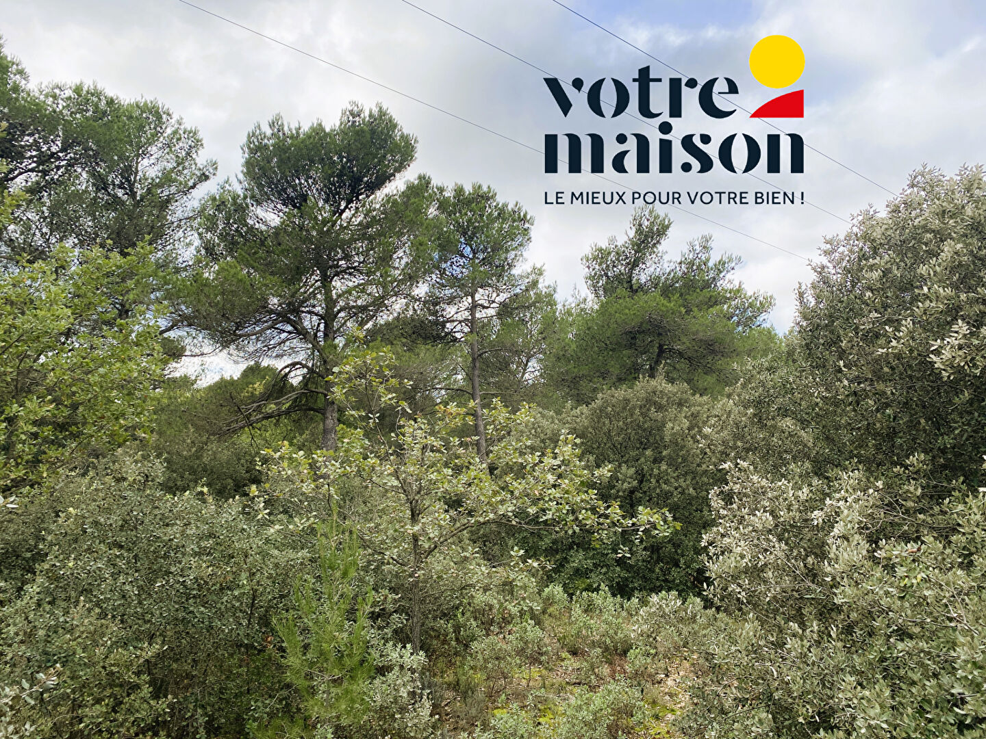 Photo Vente terrain de loisir JOUQUES image 5/5