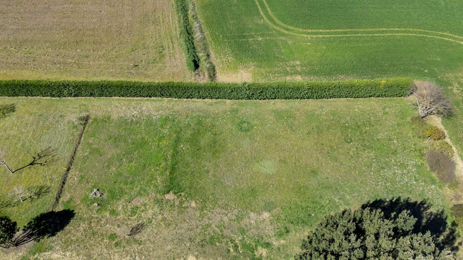 Agence immobilière de VS Conseils Toulouse - VS Conseils