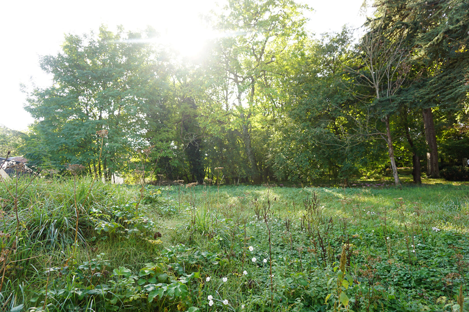 Agence immobilière de WH immobilier Tours