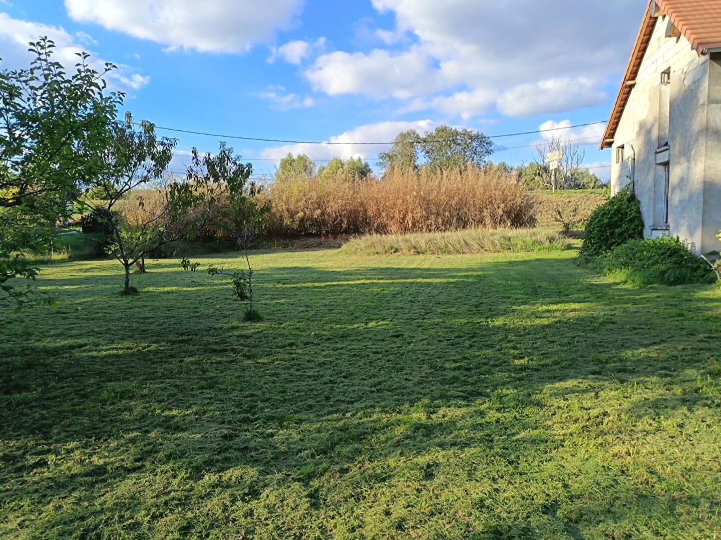 Agence immobilière de WH immobilier Tours