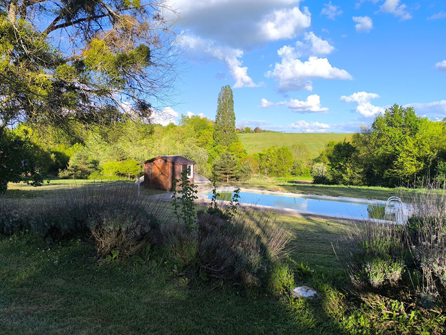 Agence immobilière de WH immobilier Tours