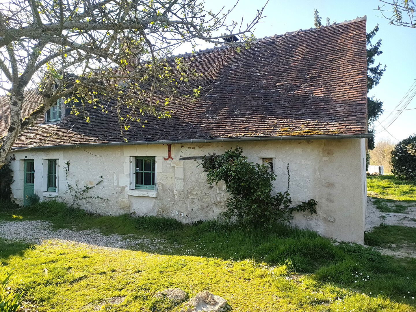 Agence immobilière de WH immobilier Tours