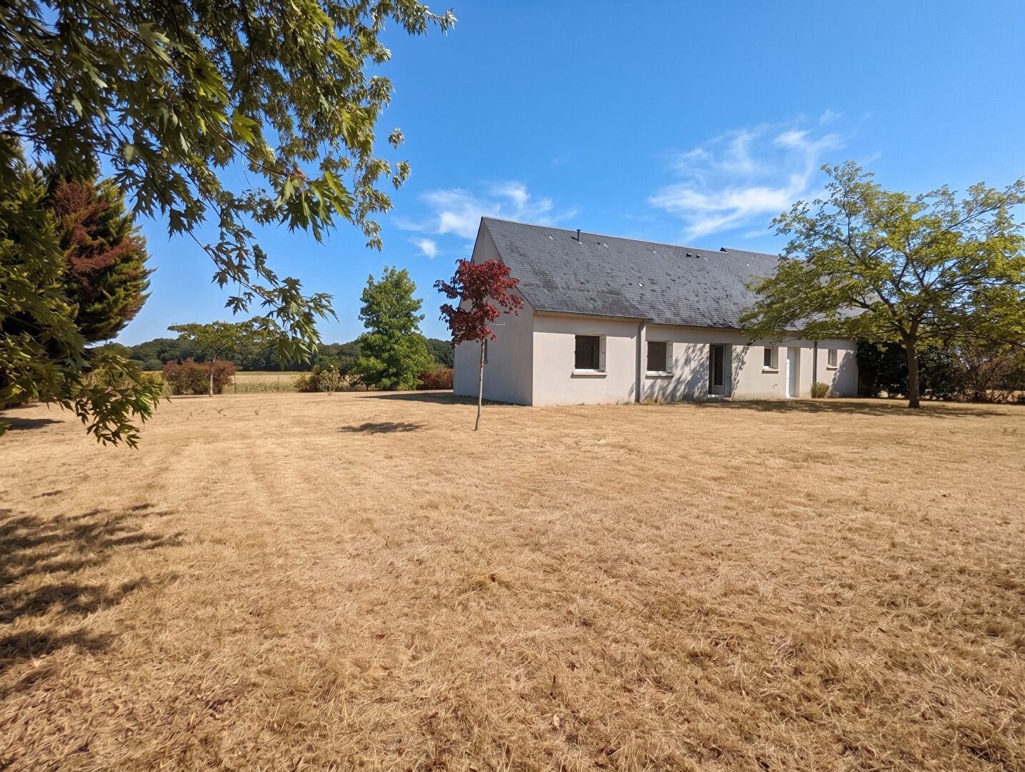 Agence immobilière de WH immobilier Tours