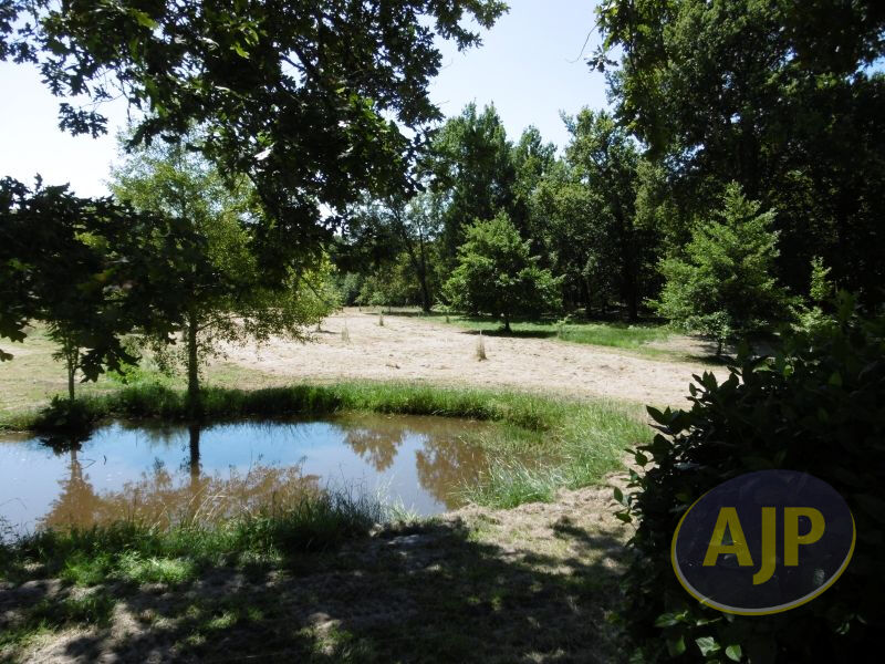 Propriété Biganos - photo 2