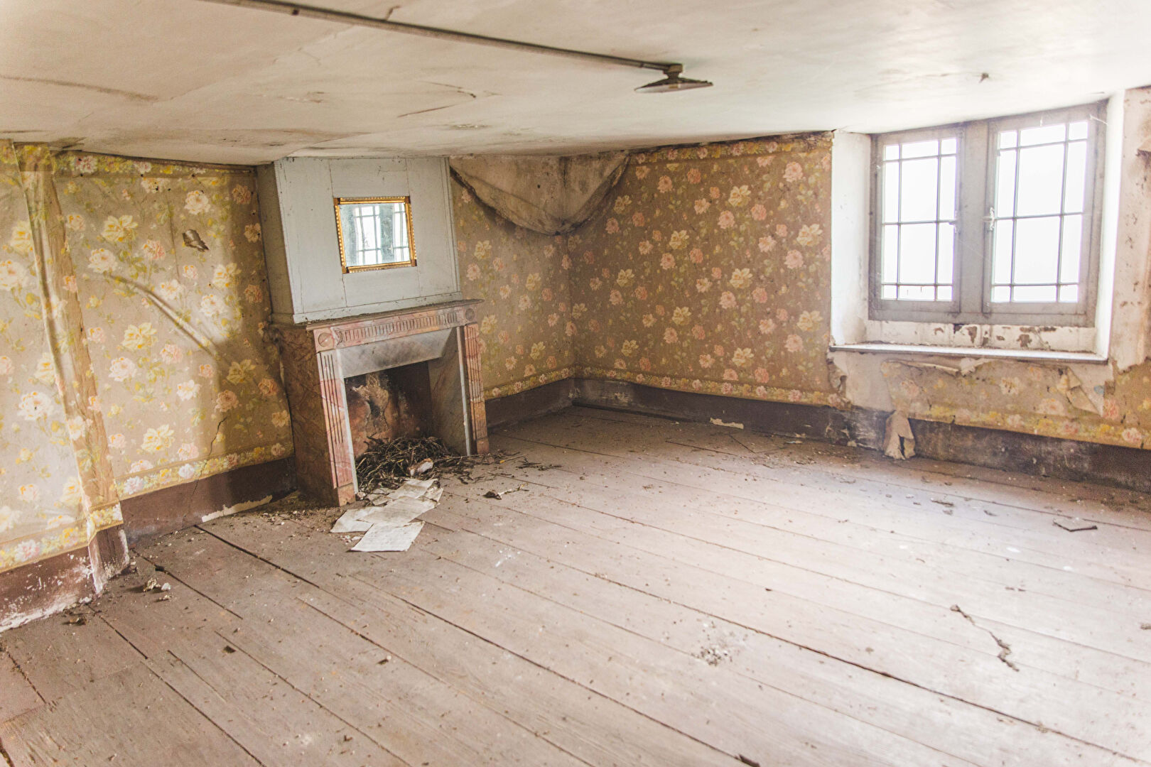 Photo Manoir rurale entre vesoul et Luxeuil avec 2 hectares de terrain image 5/6