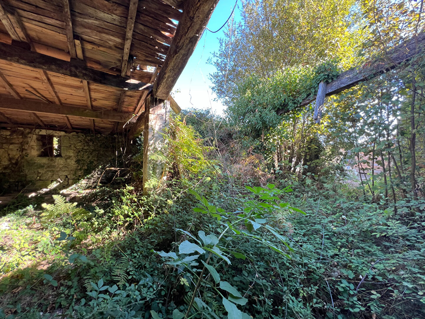 Photo ancien chai à réhabiliter image 5/6