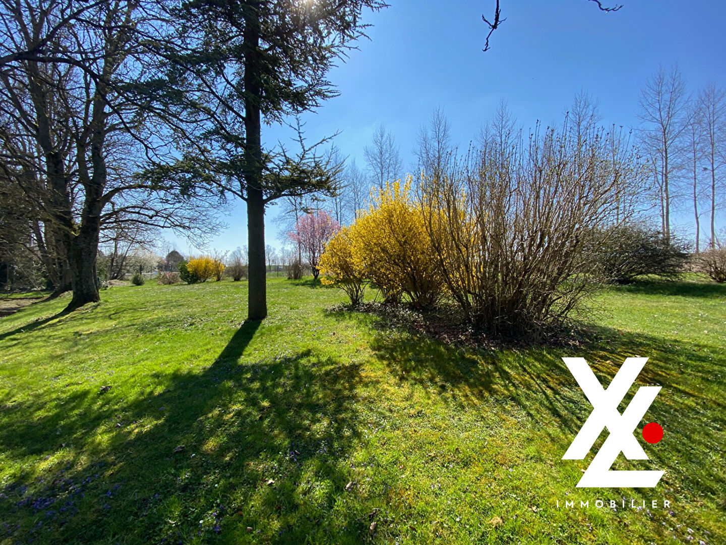 Agence immobilière de MENTOR - SIEGE - XL Immobilier - Nancy