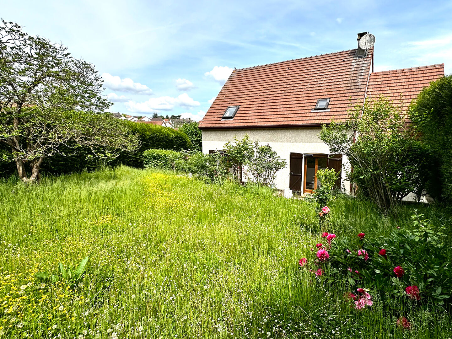 Agence immobilière de Ynobis Immobilier - Ynobis Immobilier