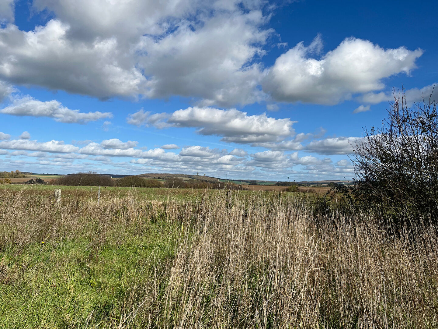 Agence immobilière de ZAKARI NAILI Rombas - Evora Immobilier