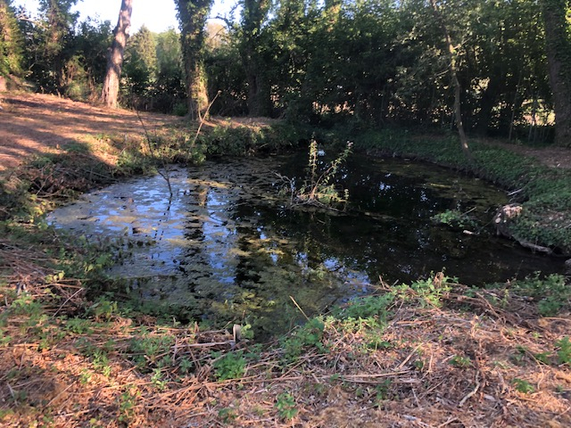 Photo MAISONNETTE A RENOVER image 3/3