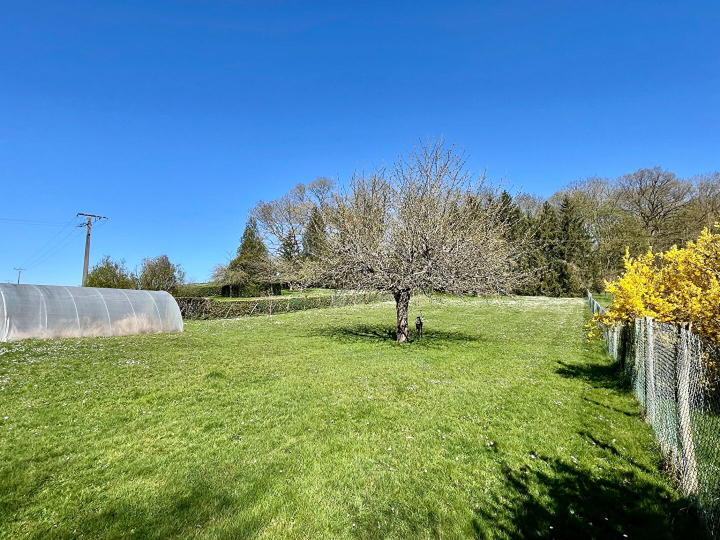 Photo PROCHE CHAUMONT EN VEXIN ! image 4/6