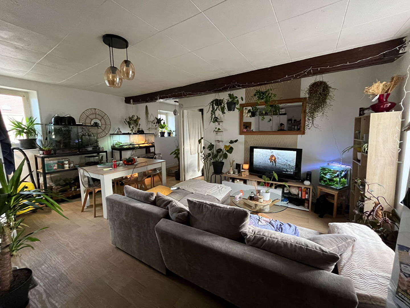 Photo Belle appartement avec place de parking image 2/5