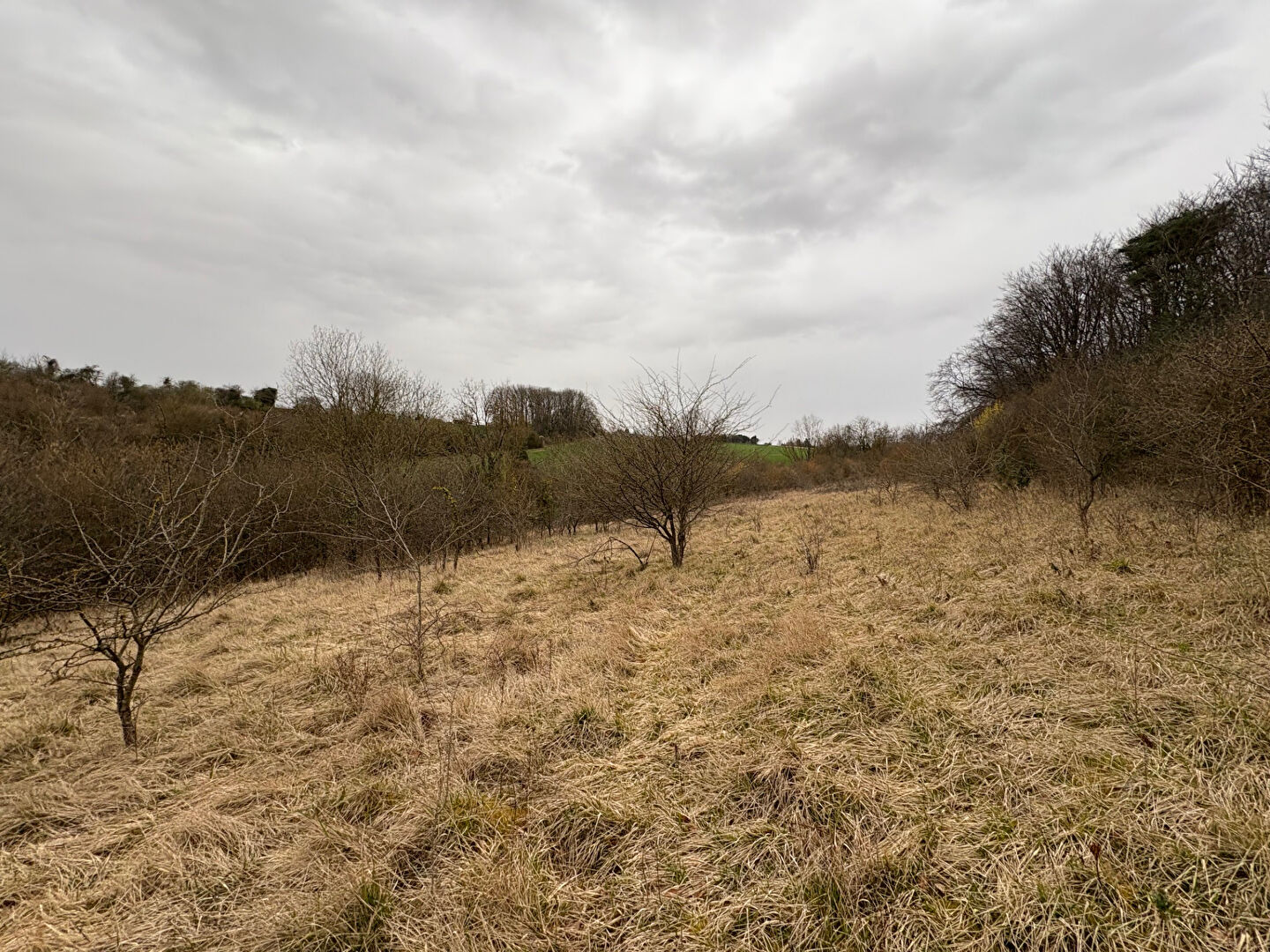 Photo Beau terrain de loisir image 1/1