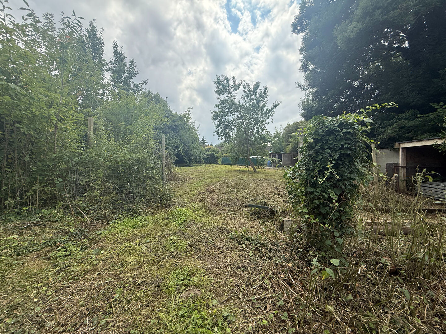 Photo Terrain 500 m2 image 1/2