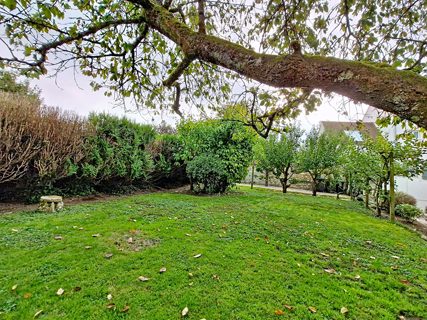 Photo PROCHE MAGNY EN VEXIN image 3/6