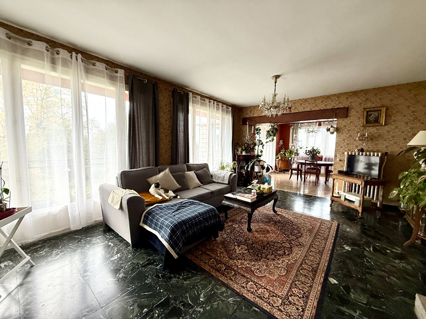 Photo Maison de plain-pied 119 m² avec hangar de 400 m² sur terrain de 1 HECTARE image 3/6