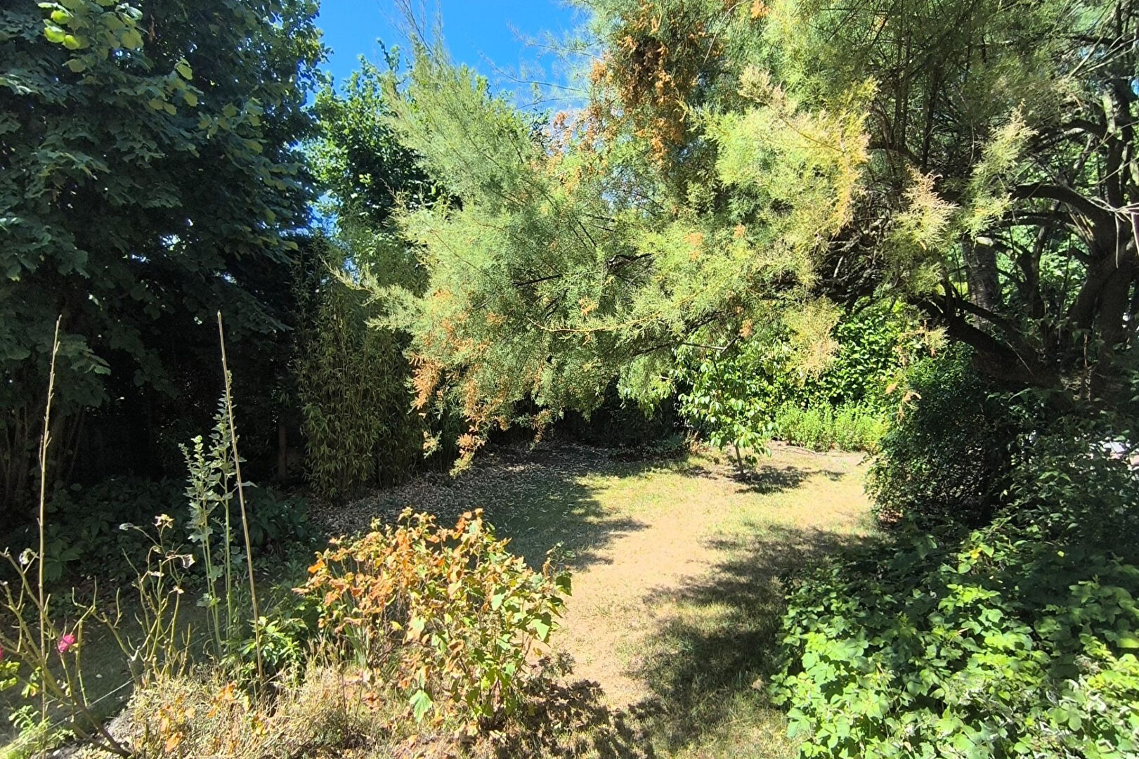 CHATOU Maison familiale d’environ 150 m²  au sol avec 4 chambres sur un terrain de 499 m²