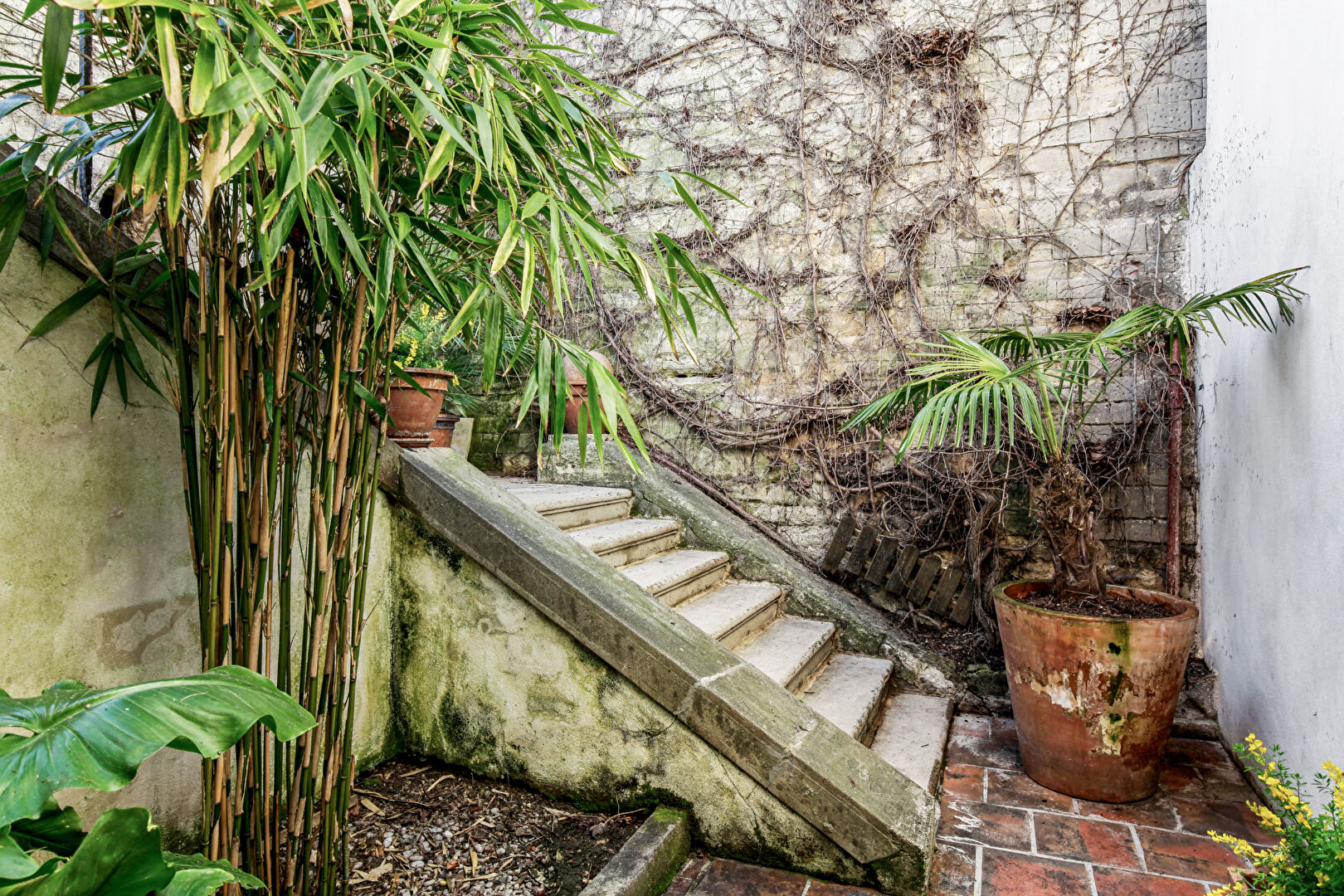 Maison d’architecte située à CHATOU avec 4 chambres de 184 m2 sur 914 M² de terrain à 11 mn du RER