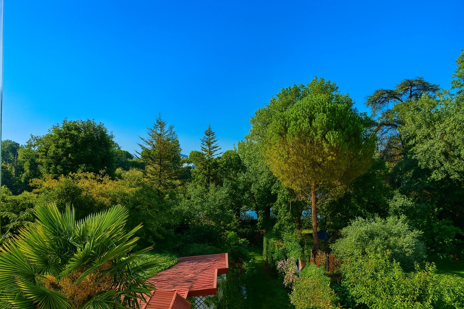 Chatou charmante  maison lumineuse  de 124 m²  au sol avec 3 chambres sur un terrain de 318 m² avec lumière et vue Seine