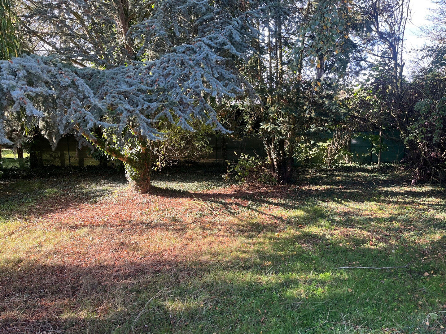 Photo MAISON  SAINT CONTEST image 2/6