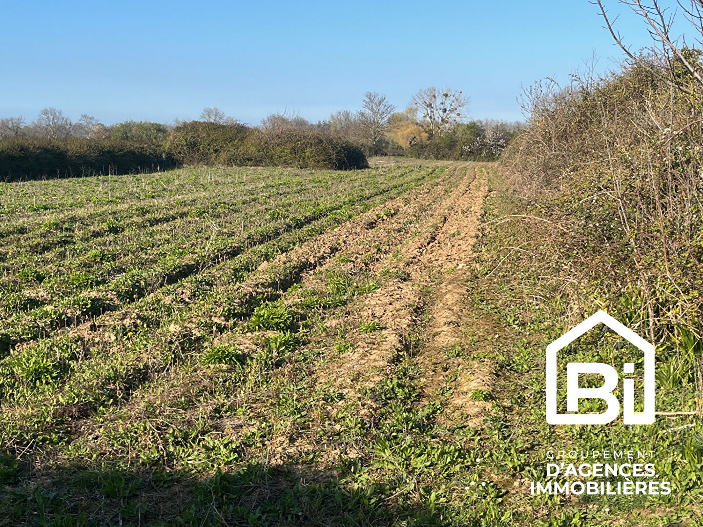 Agence immobilière de BIN - Agences Deligny et Ledain - Cabinet Ledain et Associes - Ouistreham
