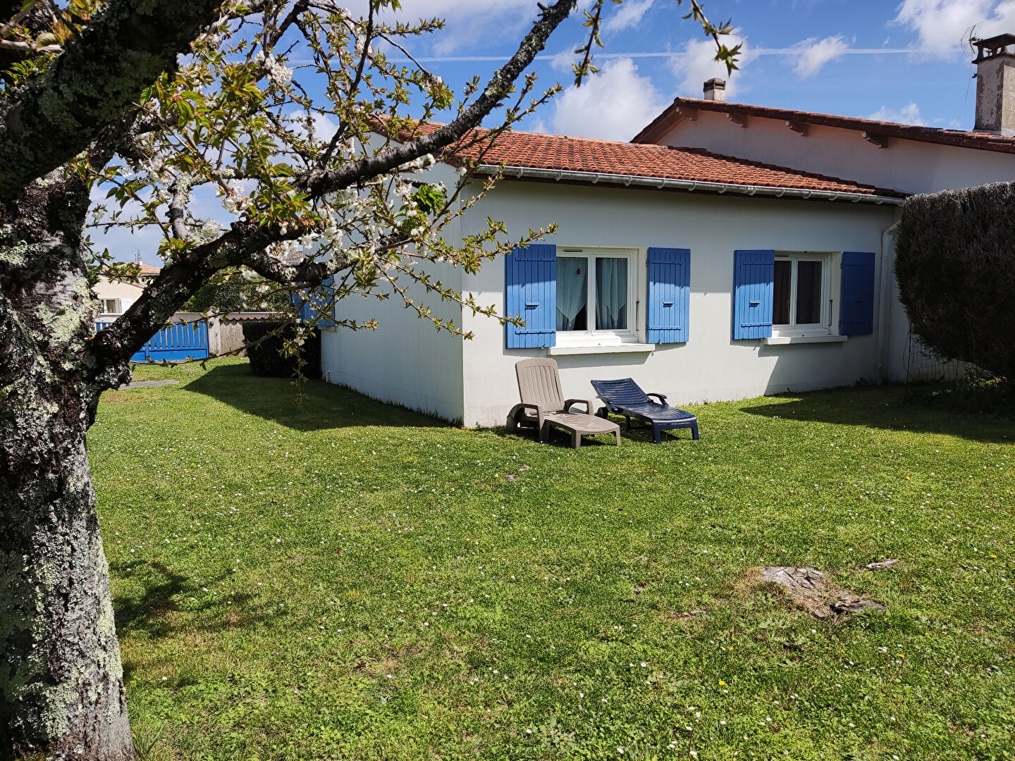 Photo LOGEMENT MITOYEN AVEC JARDIN PRIVATIF image 1/6