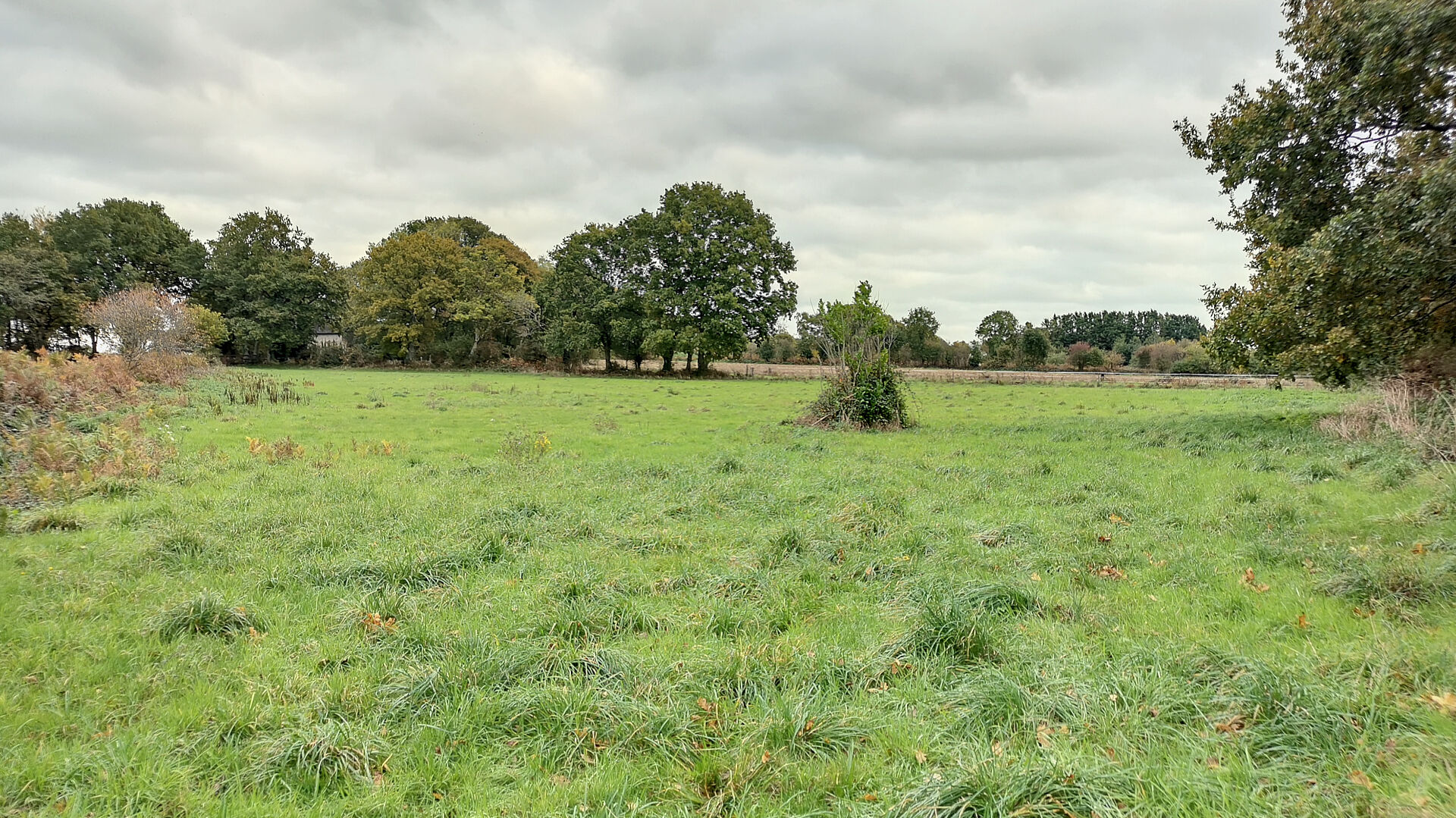 Agence immobilière de 
 Delamarche Immobilier - DELAMARCHE IMMOBILIER - GRANVILLE 
