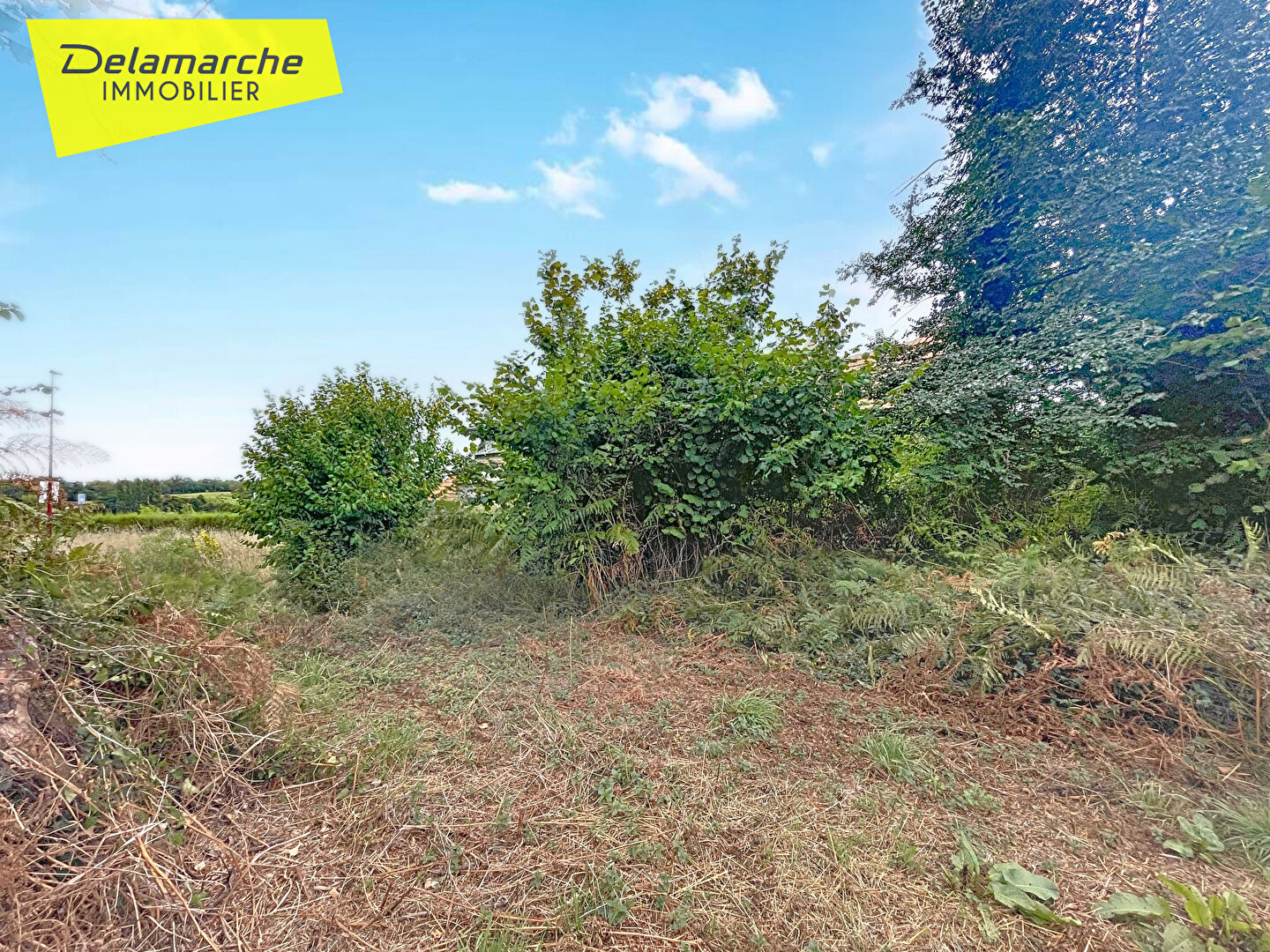 Photo Terrain à bâtir situé sur la commune de Coudeville sur mer image 4/6