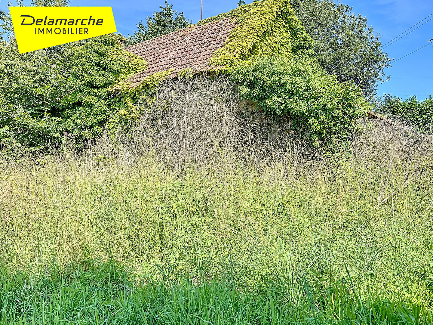 Agence immobilière de Delamarche Immobilier - Avranches