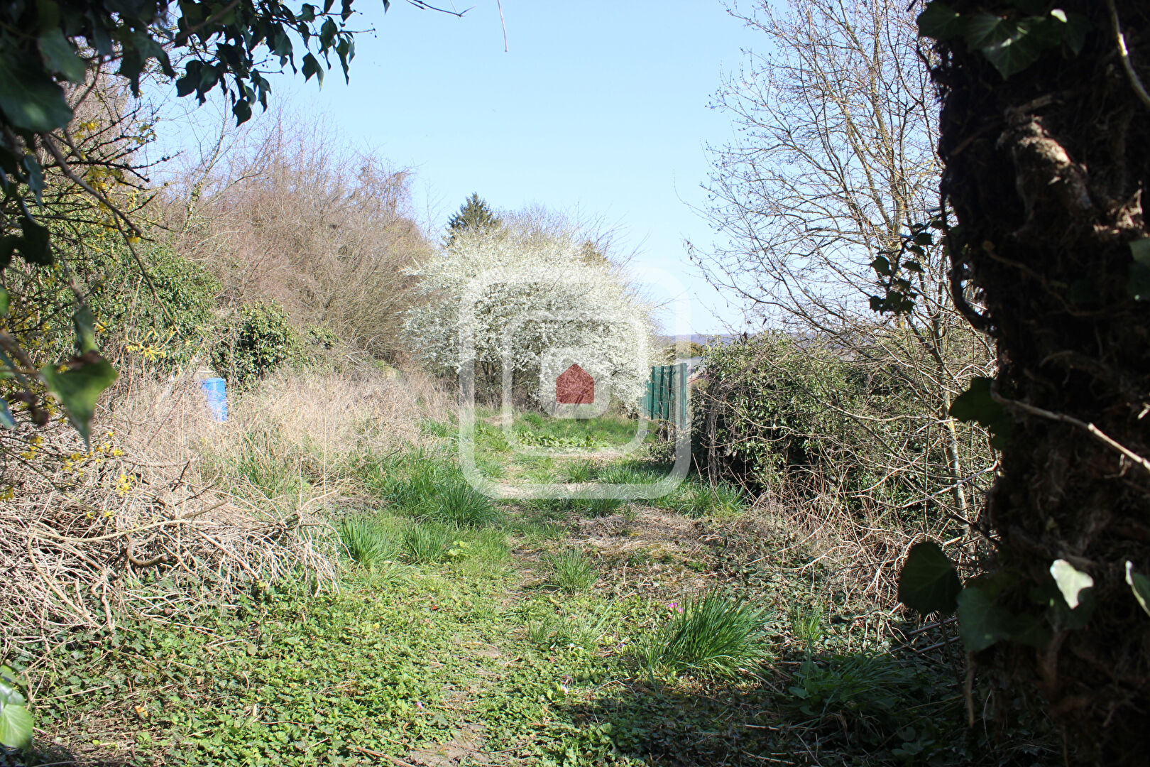 Agence immobilière de D'Erlon Immobilier - Habitat Centre