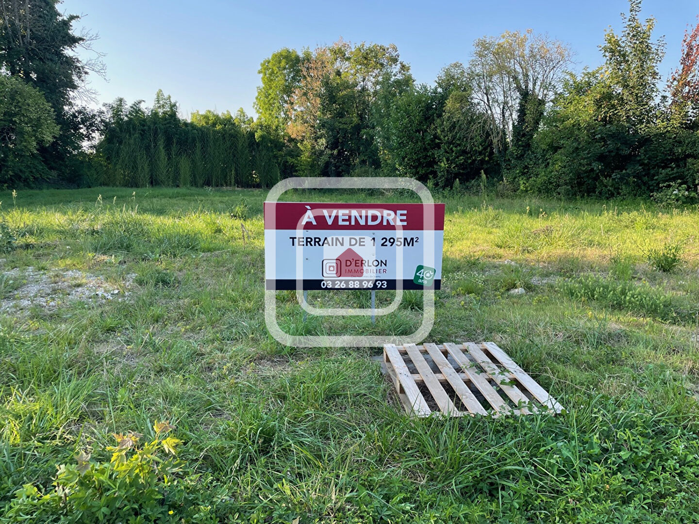 Agence immobilière de D'Erlon Immobilier - Habitat Centre